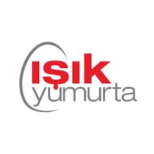 Işık Yumurta